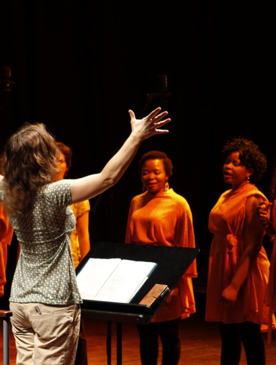 Auditoris i festivals